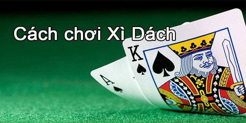 Hướng dẫn cách chơi xì dách chuẩn, đầy đủ quy tắc