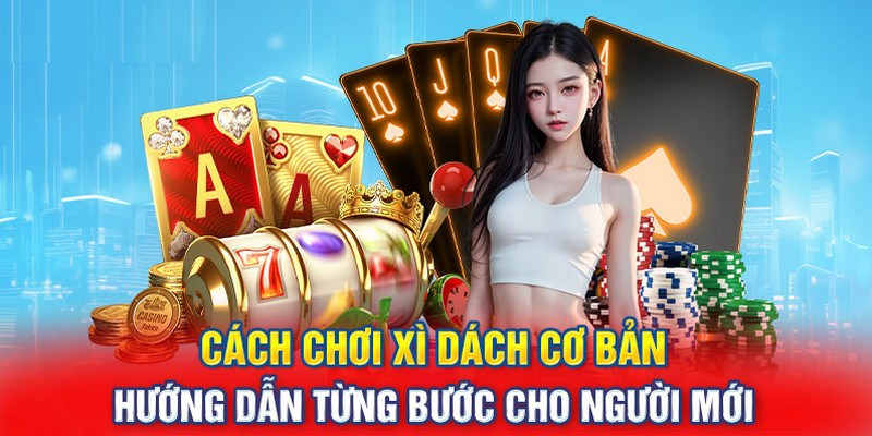 các chơi xi dách