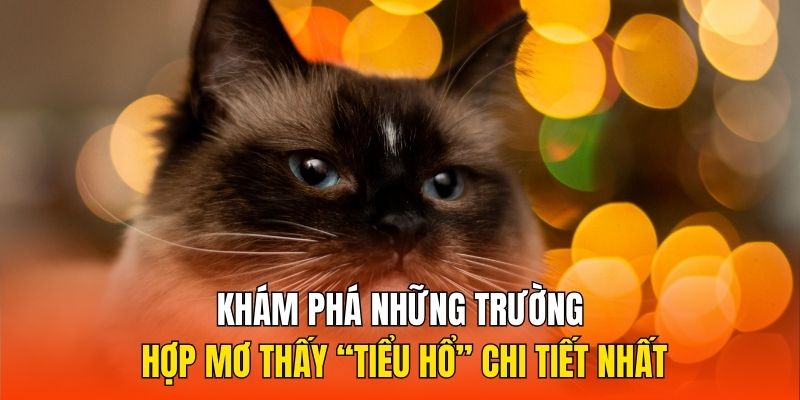 Khám phá những trường hợp mơ thấy “tiểu hổ” chi tiết nhất