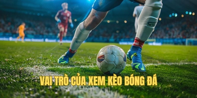 Xem kèo bóng đá - Yếu tố chiến lược không thể thiếu